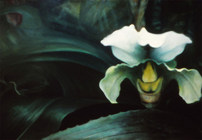"Exotic Bloom Series #10," 1999, oil on canvas. 16 x 24 inches. Private collection.