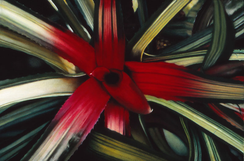 "Exotic Bloom Series #12," 2004, oil on canvas. 18 x 24 inches. Collection of the District of Columbia, John A. Wilson Building, Washington, DC.