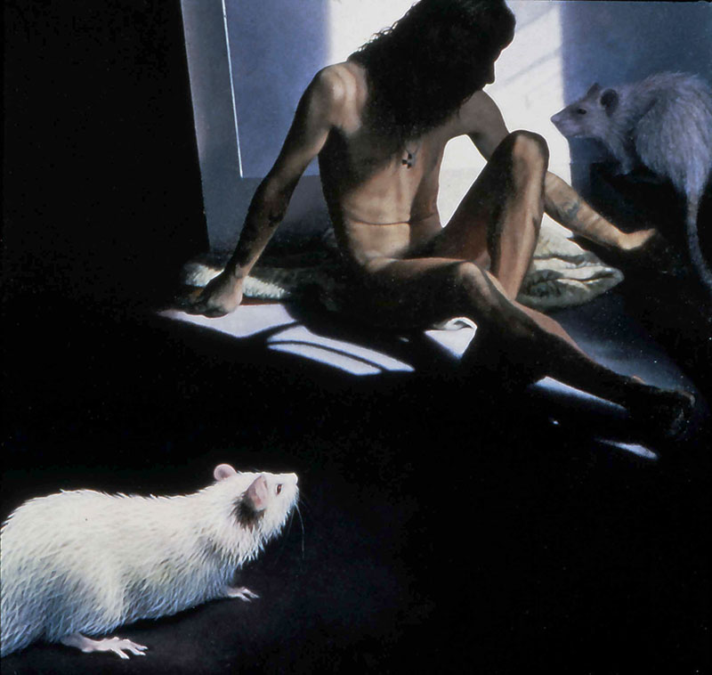 "Randy with Rats," 1979, oil on canvas. 36.5 x 36.5 inches. Estate of Manon Cleary.